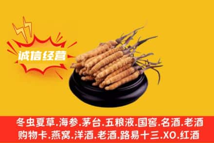 枣阳市回收冬虫夏草